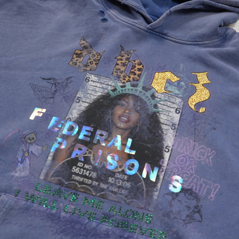 Sweat à capuche 400G Distressed Mugshot-785