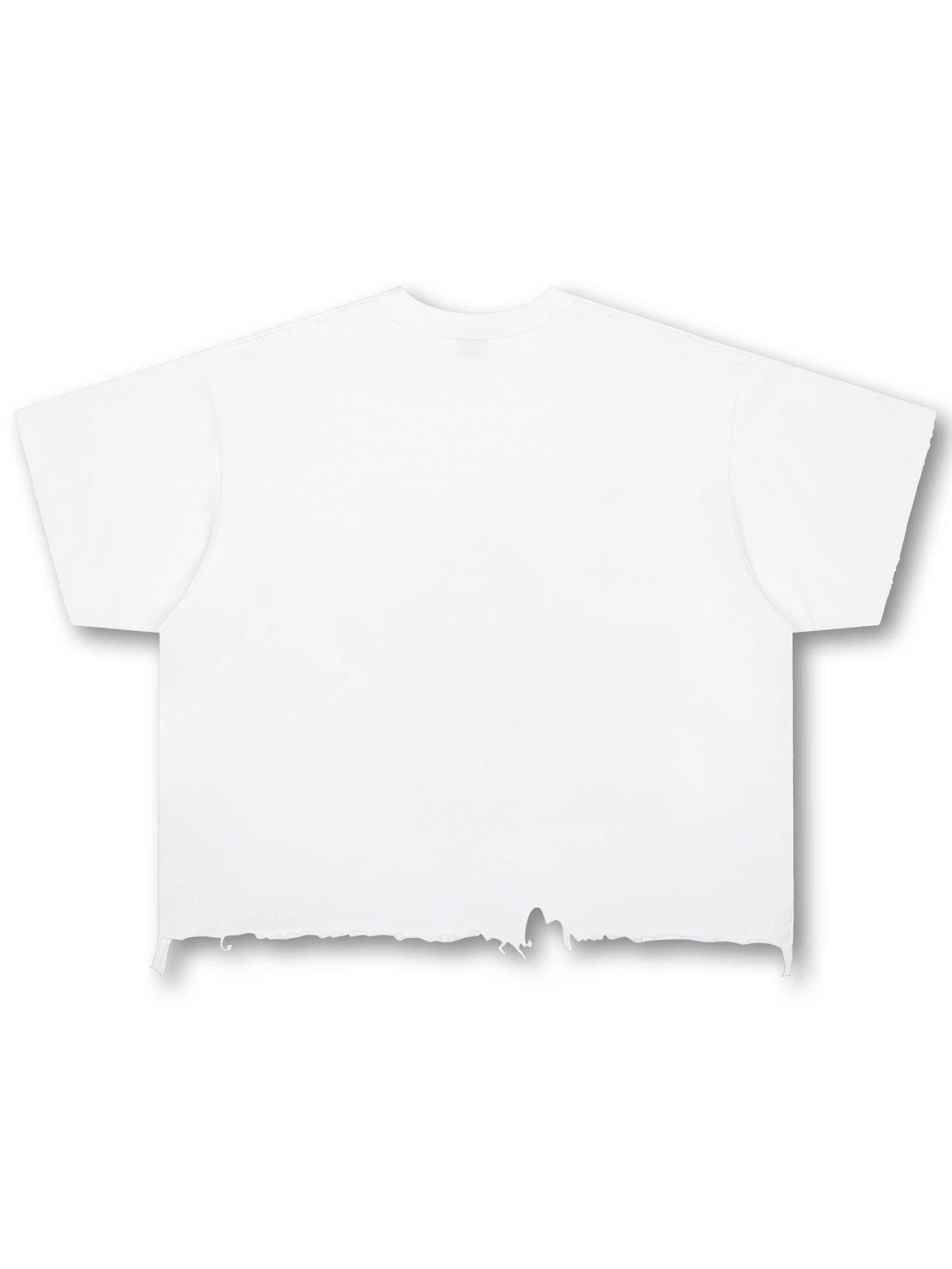 Camiseta envejecida Bling Money-563