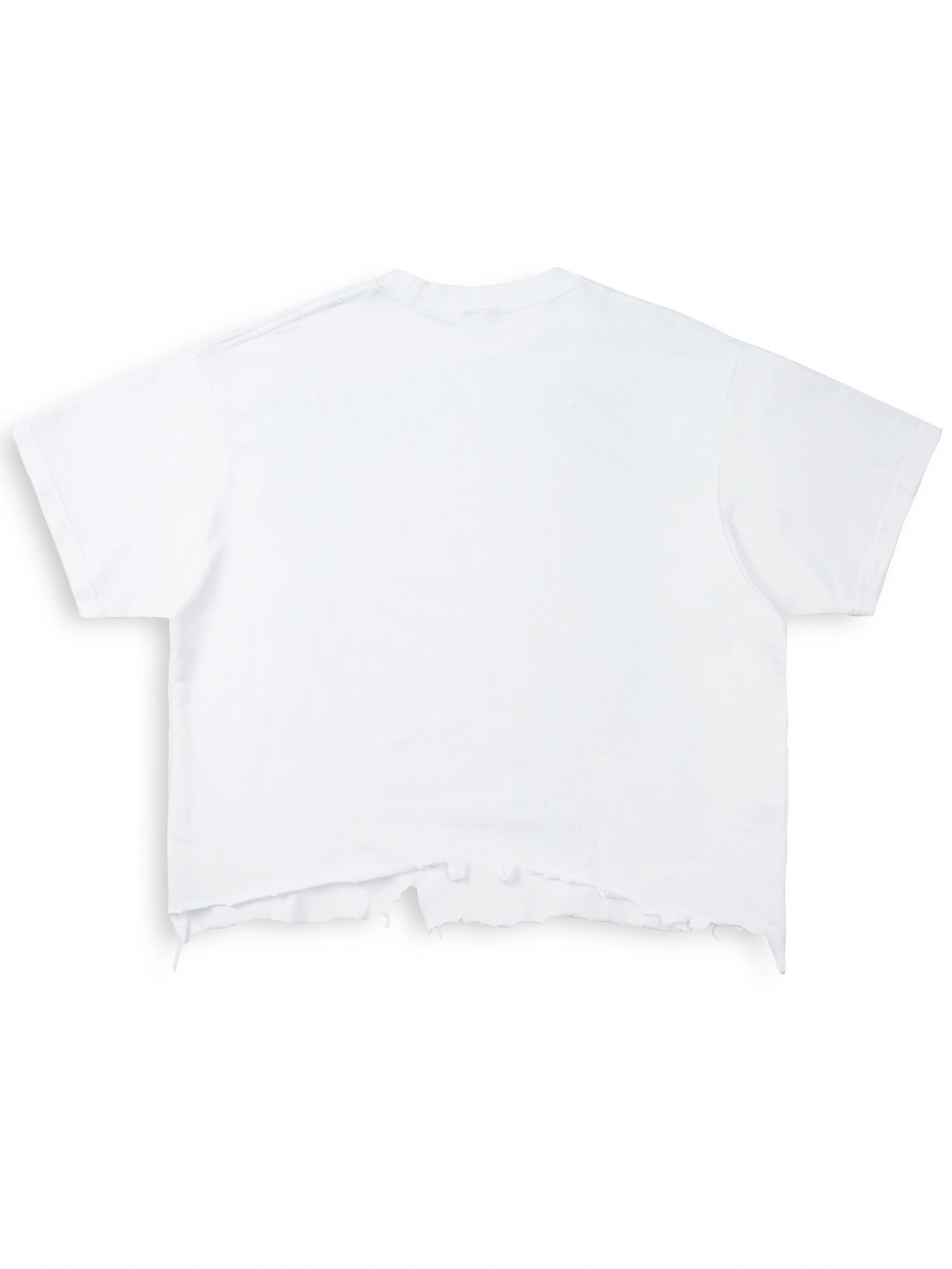 90s Airbrush Distressed Boxy Tee-567